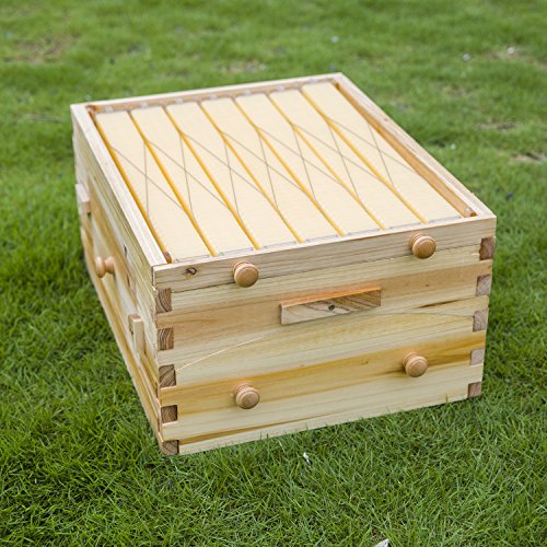 LANGLANG Automatic Wooden bee hive House kit with 7 PCS Upgraded Auto Frame Comb-Beehive Box Honey Free harvesting.