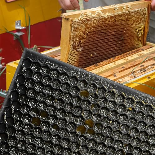 Beehive Waxed Coated Foundation Sheet, Beehive Foundation Sheets Waxed Foundation Sheet Plastic Portable Honeycomb Sheet Nest Foundation Sheet fit Deep Frame, Black, 10 Sheets - color: 10pcs-Black