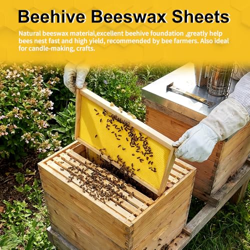 Beeswax Sheets, Bee Hive Foundation Sheets, Beehive Wax Foundation Sheets, Beeswax Honeycomb Sheets for Beekeeping Candle Making (60pcs) - size: 60pcs