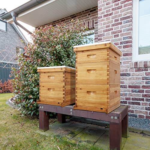 VINGLI 10-Frame Bee Hive, Wax Coated Beehive Starter Kit with Frames & Beeswax Coated Foundation Sheets (3 Layer) - style: 3 Layer