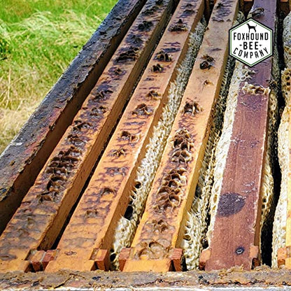 Foxhound Bee Co Universal Solar Fume Board: A Beekeepers Practical Solution for 8-Frame and 10-Frame Honey Harvesting