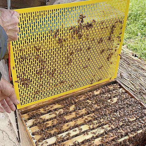 12PCS Plastic Queen Excluder for 10 Frame Beehive - Smooth Edges No Harm to Bees' Wings, Bee Separator to Keep Queen Out of Honey Boxes, Essential Beekeeping Supplies for Beekeepers 20x16"