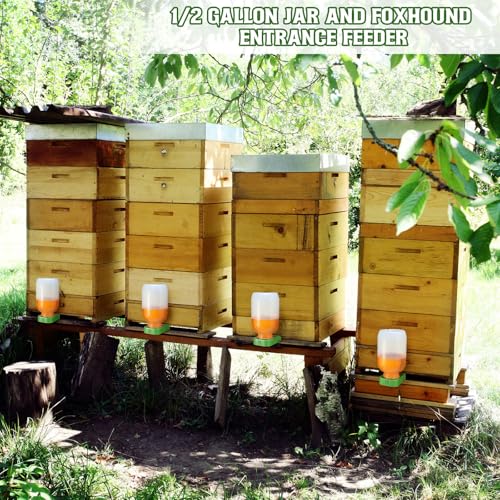 LemonRoad 4 Pcs Honey Bee Feeder for Beekeeping Beehive Entrance Feeder Watering Station with Extra Large Half Gallon Bottle Beekeeping Supplies for Outside Garden Feeding Sugar Syrup
