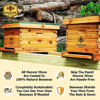 Hoover Hives 8 Frame Langstroth Beehive Dipped in 100% Beeswax Includes Wooden Frames & Waxed Foundations (2 Deep Boxes, 1 Medium Box)(Fully Assembled)