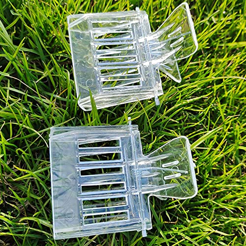 A/U 10 Pack Queen Bee Cage Catcher Clips Transparent Plastic Bee Queen Catcher Get Clips Catcher Trap Box Bee Queen Clip Beekeeper Beekeeping Getting Tool Beekeeping Equipment