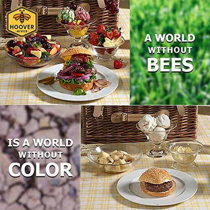 Hoover Hives 8 Frame Langstroth Beehive Dipped in 100% Beeswax Includes Wooden Frames & Waxed Foundations (2 Deep Boxes, 1 Medium Box)(Fully Assembled)