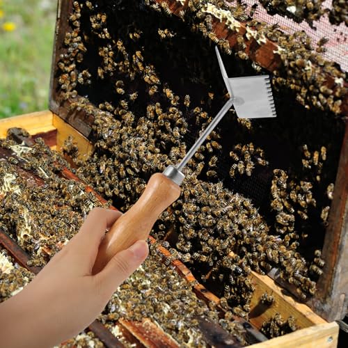 Vaguelly Stainless Steel Beehive Scraper with Sharp Edges for Cleaning Beehive Frames and Wooden Frames, Silver Beekeeping Tool for Professional Beekeepers and Hive Maintenance