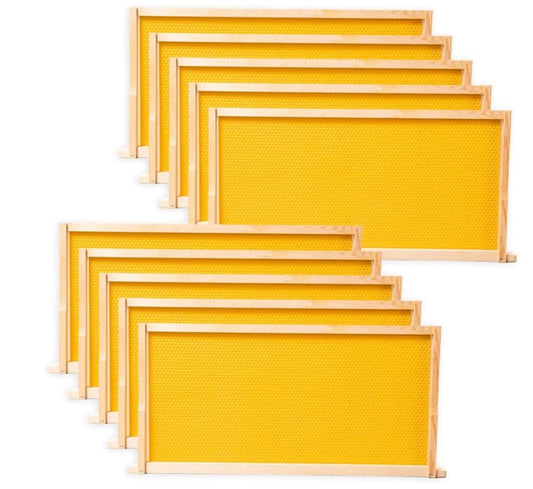 Bee Frames Deep 9-1/8 Inch, Pine Wood Langstroth Deep Frames 10 Pack with Yellow Wax-Coated Foundation for Brood Box Hive Setup