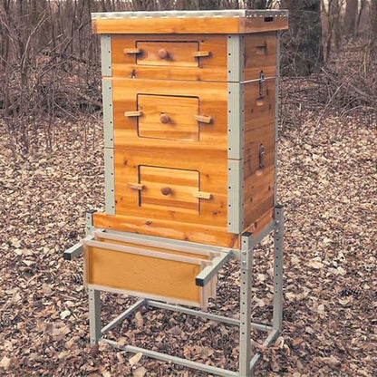 GUTINNEEN Bee Hive with Metal Frame and Stand, 10-Frame Bee Box Langstroth Beehive Dipped in 100% Beeswax,Easy Assemble Flow Hive Box Includes Wooden Frames & Waxed Foundations