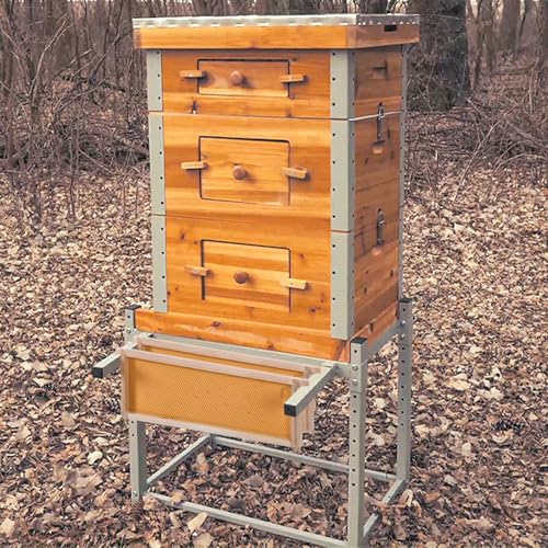 GUTINNEEN Bee Hive with Metal Frame and Stand, 10-Frame Bee Box Langstroth Beehive Dipped in 100% Beeswax,Easy Assemble Flow Hive Box Includes Wooden Frames & Waxed Foundations