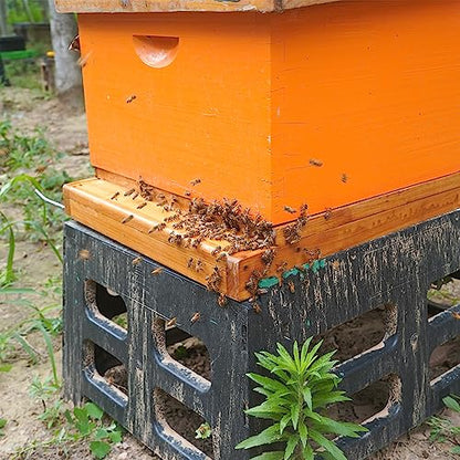 Beehive Screened Bottom Board Dipped in 100% Beeswax,Langstroth 10 Frame Bee Hive Screen Bottom Board with Entrance Reducer for Bee Hive Beekeeping Backyard - size: 1 Pack 10 Frame