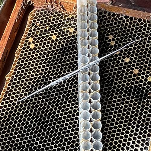 Queen Bee Grafting Tools - 2PCS, Stainless Steeel,Professional Beekeeping Tools Used for Queen Bee Grafting and Larva Transplanting.