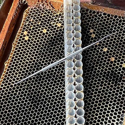 Queen Bee Grafting Tools - 2PCS, Stainless Steeel,Professional Beekeeping Tools Used for Queen Bee Grafting and Larva Transplanting.