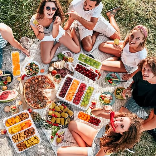 AIERSA Snackle Box Container,Divided Serving Tray with Lid,4 Compartment Travel Snack Container,Fruit Veggie Tray with Lid for Fridge Fresh Keeping,Portable Snack Tray for Picnic,Party,Travel