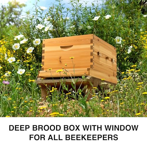 CREWORKS 10 Frame Bee Hive Box, Langstroth Beehive Deep Box with Frames & Foundations, Beeswax Coated Brood Bee Box for Bee Keeper, Beekeeping Supplies with Transparent Acrylic Window - style: 1 Layer
