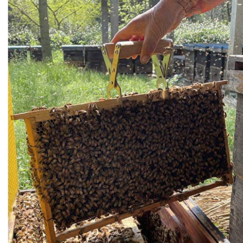 Stainless Steel Frame Gripper -, 2PCS, Beehive Frame Gripper, Frame Clamper, Beehive Frame Holder with Wooden Handle,Beekeeping Tools