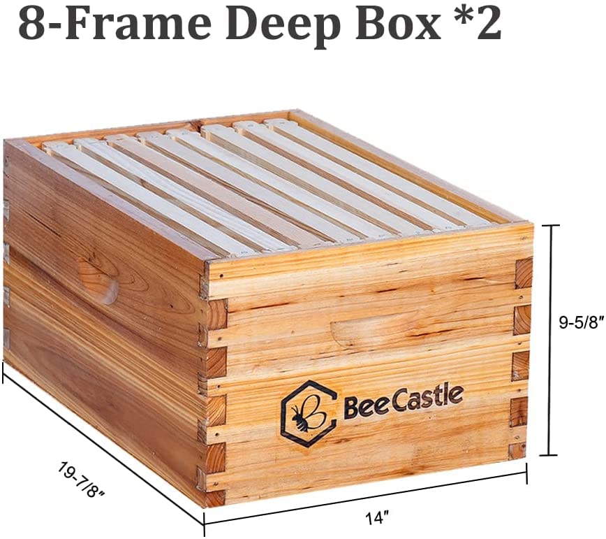 BeeCastle 8 Frame Langstroth Bee Hive Coated with Beeswax Includes Beehive Frames and Waxed Foundations (2 Deep Boxes & 2 Medium Boxes)