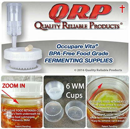 BETTER than Glass Fermentation Weights - Food Grade Plastic Mason Jar Food Fermentation Weights CUPS keep food submerged in brine (6-3" WIDE MOUTH CUPS ONLY, NOT KITS) - size: 6-3" WIDE MOUTH CUPS ONLY, NOT KITS