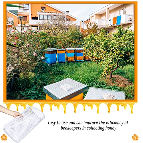 Rtteri 20 Packs 10 Frame Plastic Queen Excluder Beekeeping Queen Excluders Bee Supply Queen Excluder Fits 10 Frame Langstroth Beehives Beekeeping Supplies Kit Tools for All Beekeeping Levels (White) - color: White
