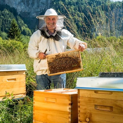 10-Frame Bee Hives and Supplies Starter Kit, Beehive Kit Dipped in 100% Beeswax, Bee Keeping Supplies-All Beginners Kit Includes Beekeeping Supplies Tool Set and Bee Suit - size: 10 Frames 1 Layer