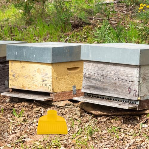 ARTIBETTER 12pcs Feeder and Watering Station for Beehive with Anti-Drowning Design Sugar Water Feeder Cups for Beekeeping Supplies Suitable for Outdoor Hive Feeding