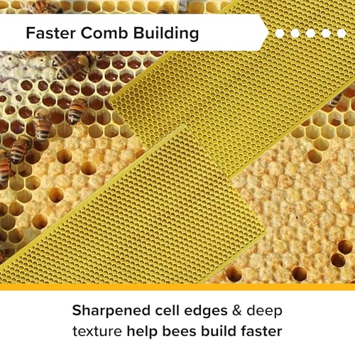 Mann Lake 5 5/8" Waxed Yellow Rite-Cell Foundation Sheets, Made in the USA, BPA-Free, Food-Grade, Beeswax-Coated for Beehive Frames, Fits 6 5/8" Hive Bodies, Durable, Wax Moth Resistant, 100-Pack - color: Natural, size: 100 Count (Pack of 1)