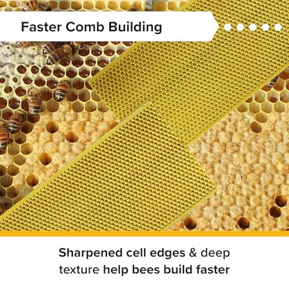 Mann Lake 5 5/8" Waxed Yellow Rite-Cell Foundation Sheets, Made in the USA, BPA-Free, Food-Grade, Beeswax-Coated for Beehive Frames, Fits 6 5/8" Hive Bodies, Durable, Wax Moth Resistant, 100-Pack - color: Natural, size: 100 Count (Pack of 1)