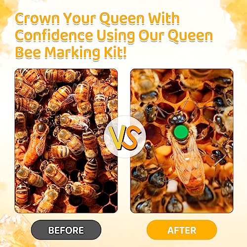 AOIT Queen Bee Marking Kit, One-Handed Queen Catcher Bottle Cage, 5 Transparent Plastic Queen Clips, 8 Marker Pens, Beekeeping Supplies for Beehive