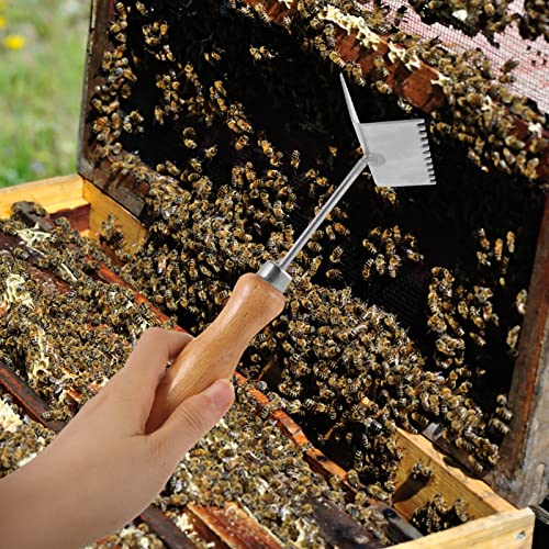 Ipetboom Beekeeping Shovel Steel Beehive Frame Cleaning Shovel Honey Uncapping Fork Honeycomb Honey Scraper Beekeeper Supplies Beekeeping Equipment