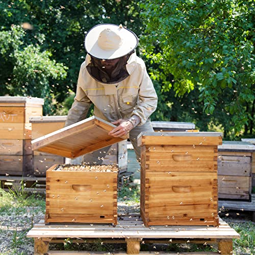 VINGLI 10 Frame Langstroth Beehive Starter Kit, Beeswax Coated 2 Layer Complete Bee Hive, 1 Deep Brood Box & 1 Medium Super Box with Frames and Waxed Foundations for Beekeepers - style: 2 Layer