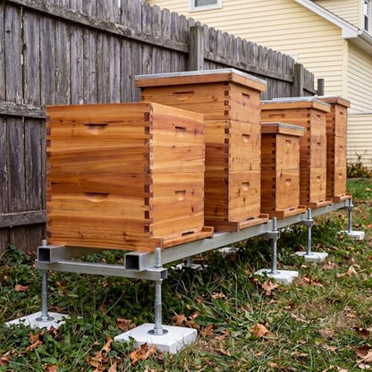 Marsui 6 Pcs Bee Hive 10 Frame Deep Bee Hive Box, Langstroth Beehive Boxes Natural Beeswax with Window, Beehive Frames and Beeswaxed Foundations
