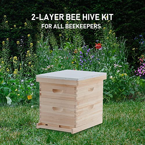 CREWORKS Bee Hive Boxes 10 Frame Langstroth Beehive, Bee Keeping Starter Kit Includes 1 Super Bee Box & 1 Bee Brood Box with Beehive Frames and Foundation, 2 Layers Complete Bee Hive Kit - style: 2 Layer