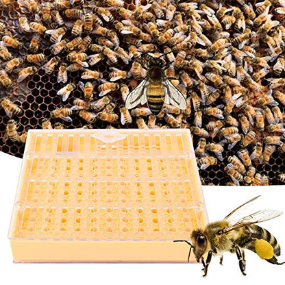 Queen Rearing System Kit | 110 Plastic Cell Cups Grafting - Innovative Design | Queen Cage & Breeding Box for Beekeeping/Apiary Management | Reusable Tools