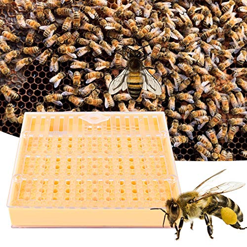 Beekeeping Queen Bee Rearing Grafting Kit, Plastic Bee Cell Cups Kit, Queen Rearing System Cultivating Box, Queen Cage Beekeeping Tools Equipment
