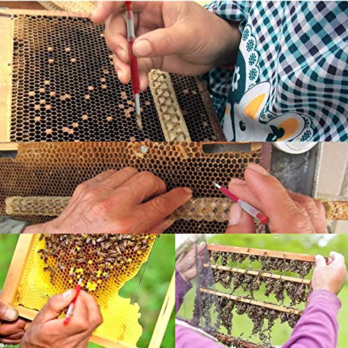 dophee Beekeeping Moving Grafting Tools Bee Hive Queen Larva Rearing Grafting Beekeepers Beekeeping Tool Retractable Equipment - 10-Pack