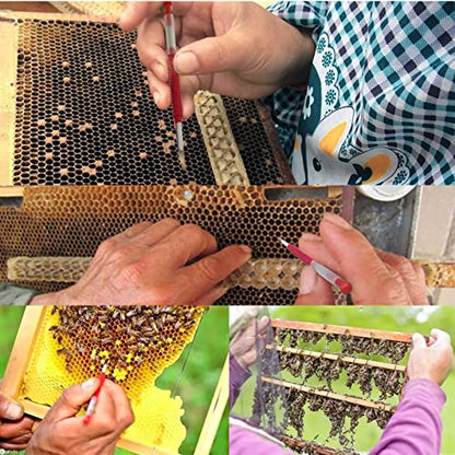 dophee Beekeeping Moving Grafting Tools Bee Hive Queen Larva Rearing Grafting Beekeepers Beekeeping Tool Retractable Equipment - 10-Pack