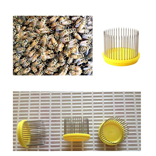 Ximimark 3Pcs Beekeeping Queen Needle Type Bee Cage Stainless Steel Catching Catcher Equipment