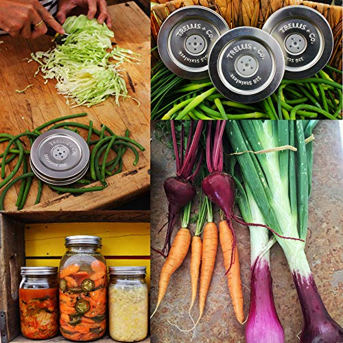 Stainless Steel Pickle Helix Coils, Fermentation Weights 3 | Pack For Wide Mouth Mason Jar Fermenting | Best Way To Hold Vegetables Under Water For Fermentation - size: Weights Only