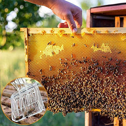A/U 10 Pack Queen Bee Cage Catcher Clips Transparent Plastic Bee Queen Catcher Get Clips Catcher Trap Box Bee Queen Clip Beekeeper Beekeeping Getting Tool Beekeeping Equipment