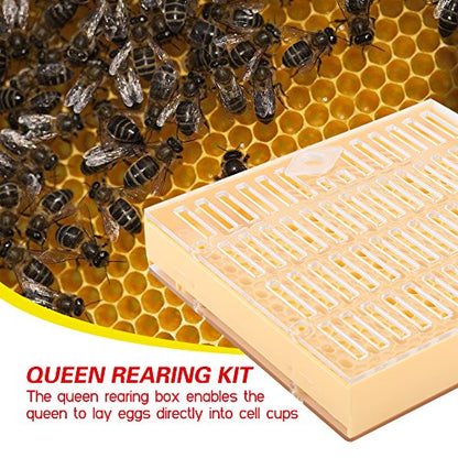 Queen Rearing Kit Bee Cultivating Tool Plastic Beekeeping Box Cell Cup Marking Tube Set Durable for Raising Queens Without Grafting Beekeeping Work