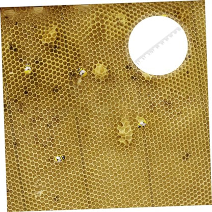 10Pcs Beehive Spacing Strip Durable Plastic Frame Spacers for Beekeeping Essential Tool for Honeycomb Assembly Convenient Beehive Supply for Beekeepers