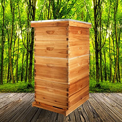 10-Frame Bee Hive Complete Beehive Kit Beeswax Coated Beehive Include Frames and Foundation Sheets for All Beekeeping Levels (2 Deep & 2 Medium Bee Boxes)