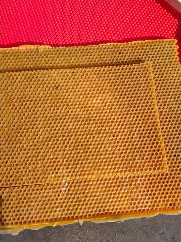 2Pcs 5.4mm Beeswax Sheets for Candle Making,Natural Beeswax Bee Honey Foundation Sheets for Honeycomb,Silicone Beeswax Sheet Mold Beeswax Foundation Press Mold